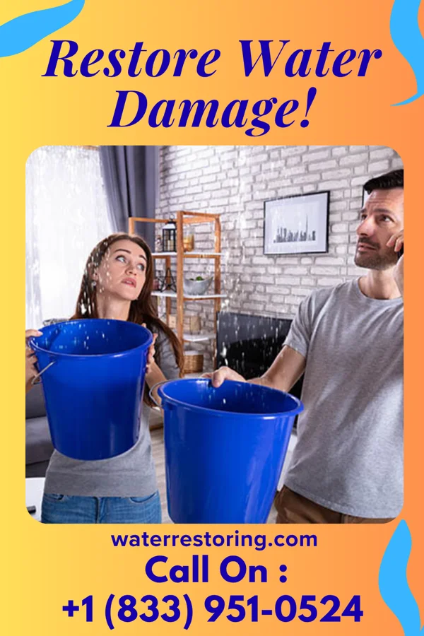 water restoration Eagle Water Repair Pros Parole